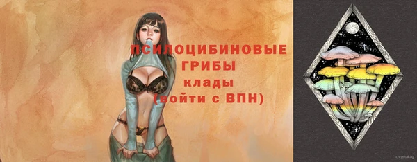 прущий лед Ладушкин