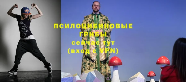 бошки Лабытнанги