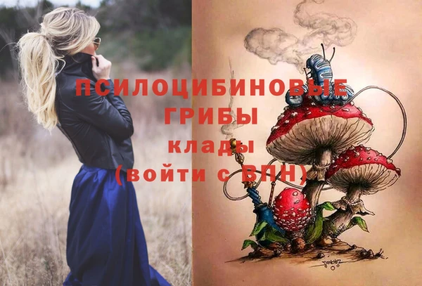 бошки Лабытнанги