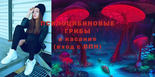 прущий лед Ладушкин