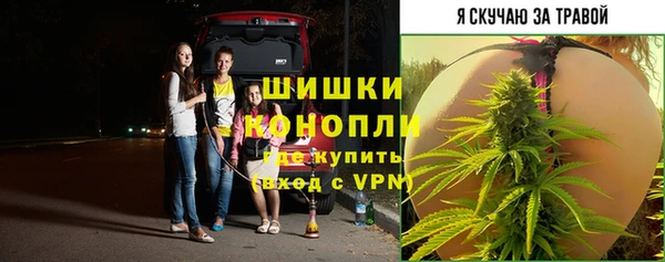 прущий лед Ладушкин