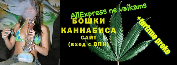 бошки Лабытнанги