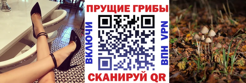 Купить где  Нягань  Галлюциногенные грибы мухоморы 